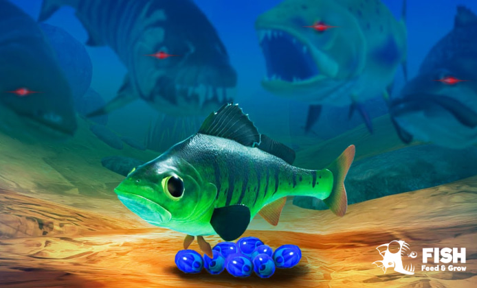 Use Feed and Grow: Fish Game on Windows 10